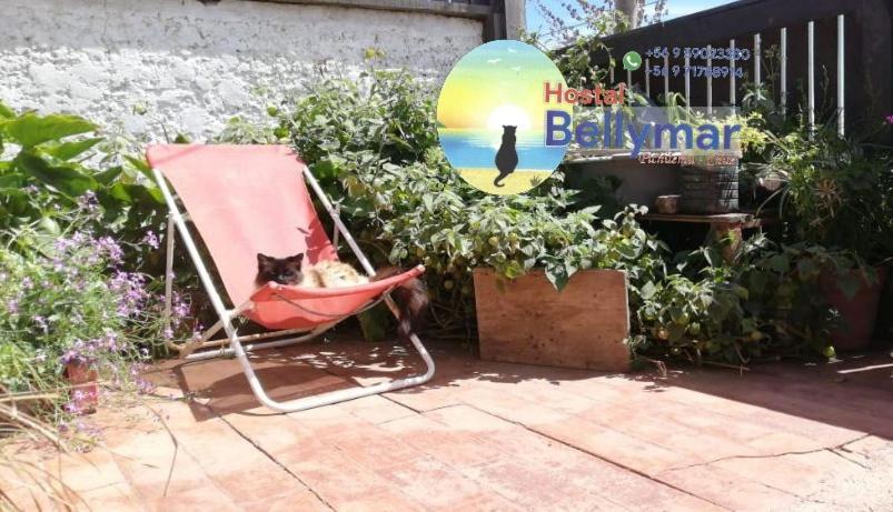Hostal Bellymar Pichilemu Ngoại thất bức ảnh